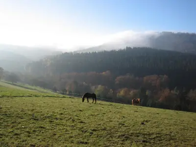 06_Umgebung
