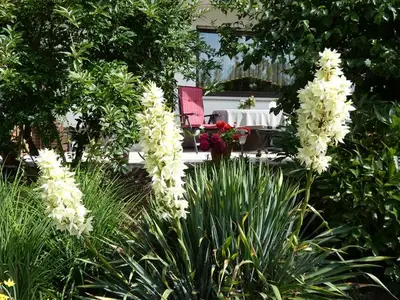 Ferienwohnung für 2 Personen (60 m²) in Gersfeld 2/10