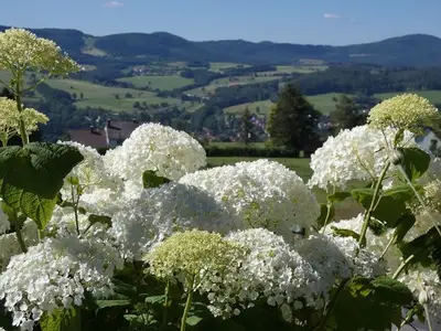 Ferienwohnung für 2 Personen (60 m²) in Gersfeld 3/10
