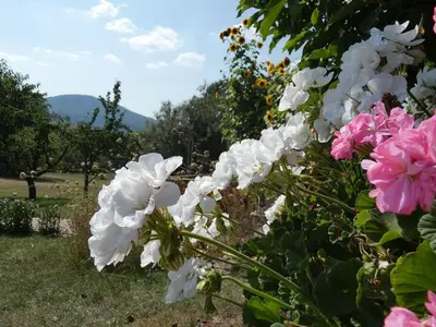 Ferienwohnung für 2 Personen (60 m²) in Gersfeld 7/10