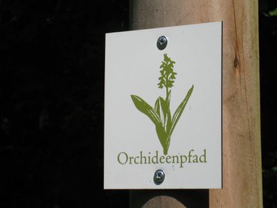 Orchideenpfad