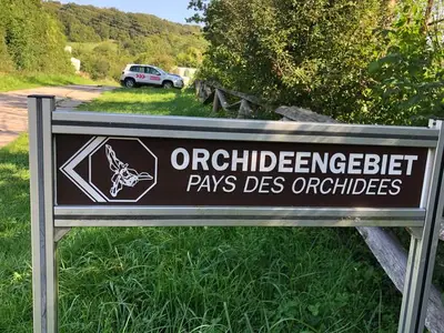 Ferienwohnung für 4 Personen (100 m²) in Gersheim 5/10