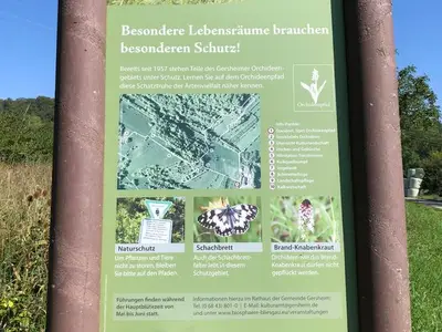 Ferienwohnung für 4 Personen (100 m²) in Gersheim 6/10