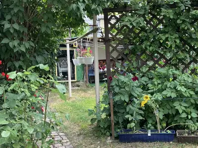 Ferienwohnung für 4 Personen (60 m²) in Geyer 4/10