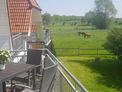 Ferienwohnung für 5 Personen (74 m²) in Gingst 3/10