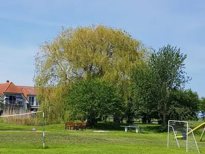 Ferienwohnung für 5 Personen (74 m²) in Gingst 6/10