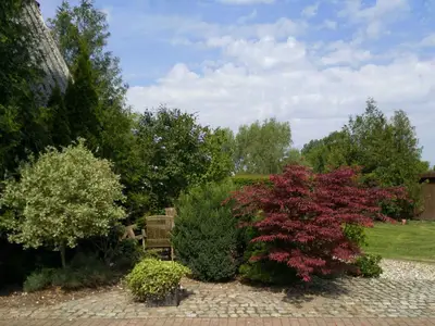 Ferienwohnung für 2 Personen (25 m²) in Gingst 8/10