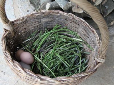 Wilder Spargel und Eier vom Huhn!