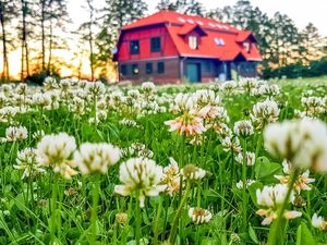 Ferienwohnung für 6 Personen (100 m²) in Gizycko