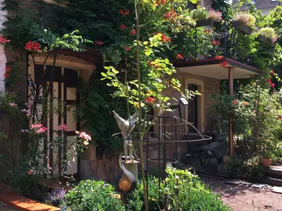 blühendes Haus