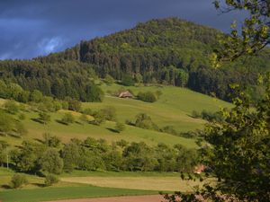 21701827-Ferienwohnung-4-Glottertal-300x225-5