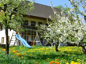Ferienwohnung für 3 Personen (40 m²) in Glottertal