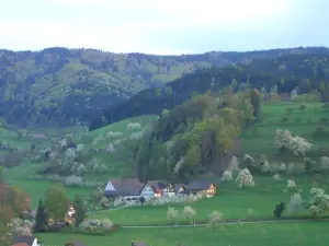 Ferienwohnung für 3 Personen (40 m²) in Glottertal