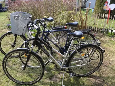 Ferienwohnung für 7 Personen (118 m²) in Polchow 9/10