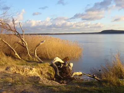 Ferienwohnung für 2 Personen (35 m²) in Glowe 9/10