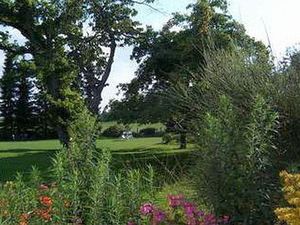 Garten Garten