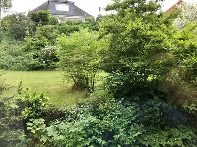 Ferienwohnung für 4 Personen (53 m²) in Glücksburg 4/10
