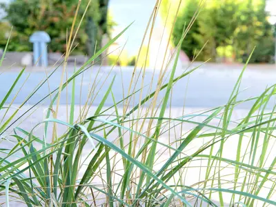 Ferienwohnung für 4 Personen (63 m²) in Glücksburg 2/10