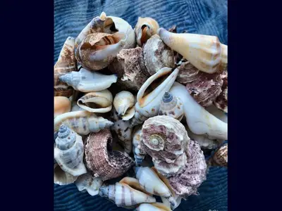 Ferienwohnung für 2 Personen (45 m²) in Glückstadt 8/10