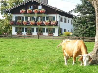 Ferienwohnung für 4 Personen (60 m²) in Gmund 4/10