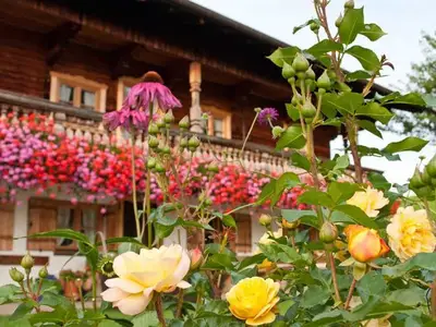 Ferienwohnung für 5 Personen (90 m²) in Gmund Am Tegernsee 2/10