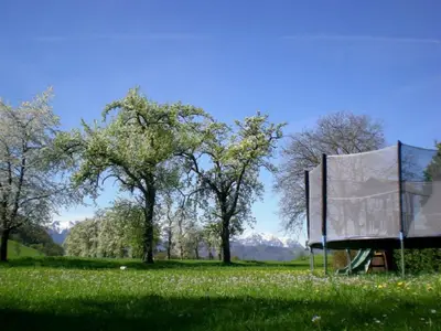 Obstgarten m Trampolin