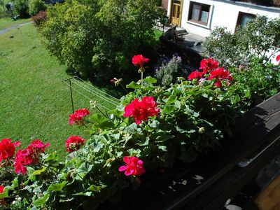 Balkon mit Blick ins Grüne