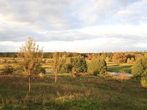 22810761-Ferienwohnung-5-Göhren Lebbin-300x225-3