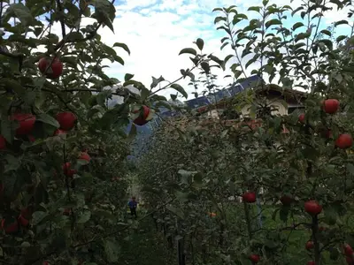 Ferienwohnung für 3 Personen (54 m²) in Götzens 3/10
