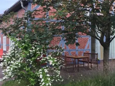 Ferienwohnung für 8 Personen (80 m²) in Göhrde 3/10