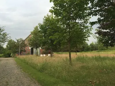 Ferienwohnung für 8 Personen (80 m²) in Göhrde 8/10