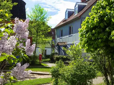 GardenSummer