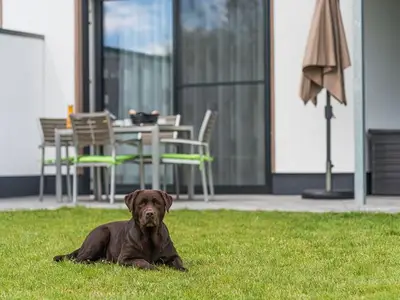 Ferienwohnung für 5 Personen (125 m²) in Göhren Lebbin 8/10