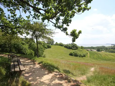 Landschaft