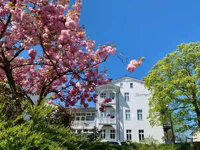 Ferienwohnung für 5 Personen (70 m²) in Göhren (Rügen) 4/10
