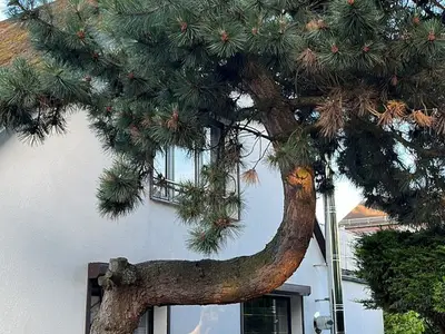 Ferienwohnung für 10 Personen (250 m²) in Göhren (Rügen) 6/10