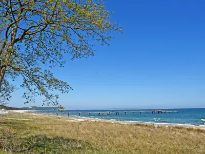 Ferienwohnung für 3 Personen (33 m²) in Göhren (Rügen) 6/10