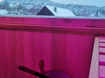 Ferienwohnung für 4 Personen (65 m²) in Gohrisch 8/10
