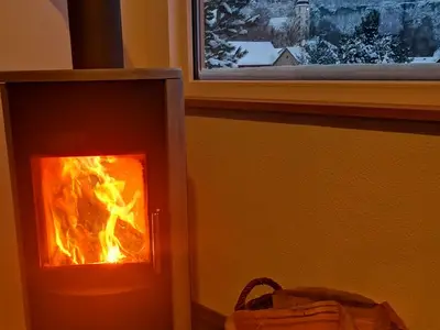 Ferienwohnung für 4 Personen (65 m²) in Gohrisch 9/10