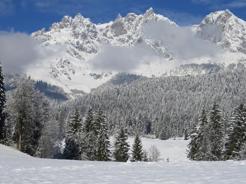 19248679-Ferienwohnung-4-Going am Wilden Kaiser-800x600-2