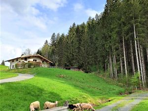 Ferienwohnung für 7 Personen (90 m²) in Going am Wilden Kaiser