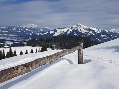 Aussicht der eigenen Alm aufs "Kitzbühler Horn"