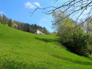 Ferienwohnung für 6 Personen (70 m²) in Goldegg