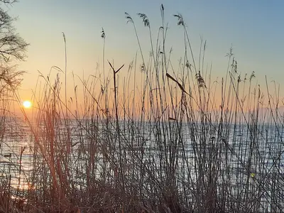 Morgendämmerung am Chiemsee
