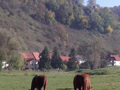 Herbst im Lautertal