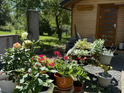 Ferienwohnung für 4 Personen (45 m²) in Gomirje 4/10