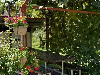 Ferienwohnung für 4 Personen (45 m²) in Gomirje 7/10