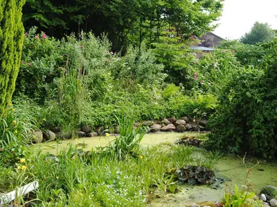 Gartenteich