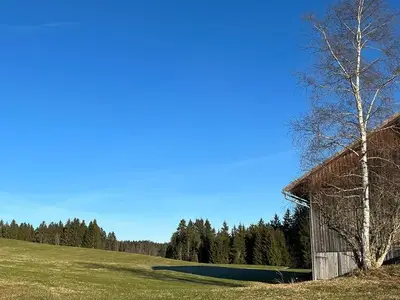 Ferienwohnung für 2 Personen (34 m²) in Görisried 4/10