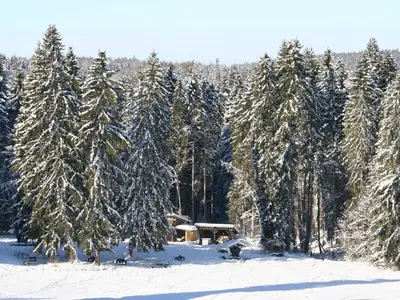 Ferienwohnung für 2 Personen (34 m²) in Görisried 7/10